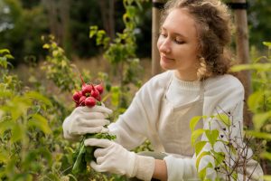 איך מורידים לחץ דם גבוה?